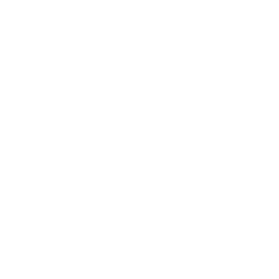 ce logo Santa Clarita