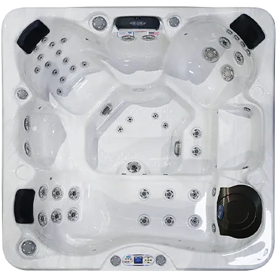 Avalon EC-849L hot tubs for sale in Santa Clarita