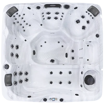 Avalon EC-867L hot tubs for sale in Santa Clarita